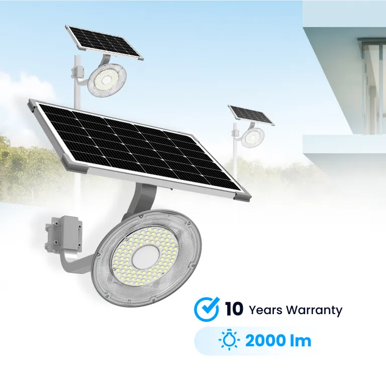 Blue Carbon Solar Gardens Light